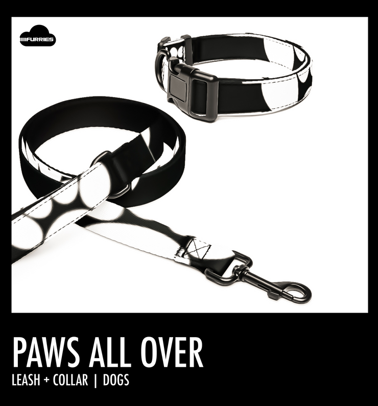 PAWS ALL OVER | LEASH + COLLAR | DOGS